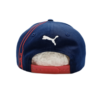 Max Verstappen Red Bull Cap